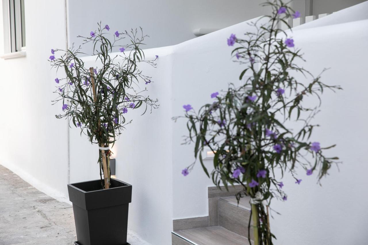 Anemela Studio Lux Naxos City Dış mekan fotoğraf